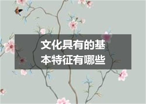 文化具有的基本特征有哪些