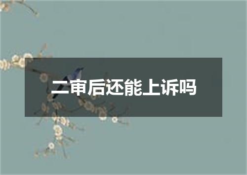 二审后还能上诉吗