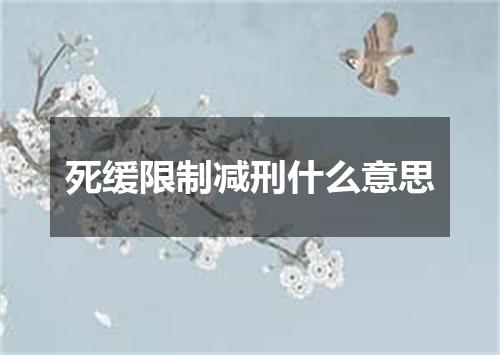 死缓限制减刑什么意思