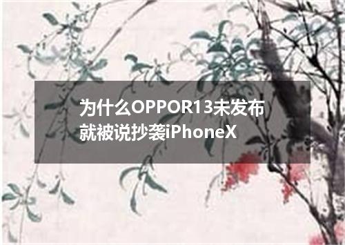 为什么OPPOR13未发布就被说抄袭iPhoneX