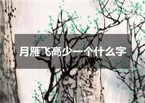 月雁飞高少一个什么字