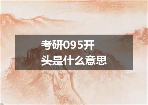 考研095开头是什么意思