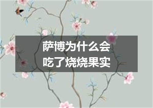 萨博为什么会吃了烧烧果实