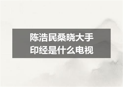 陈浩民桑晓大手印经是什么电视