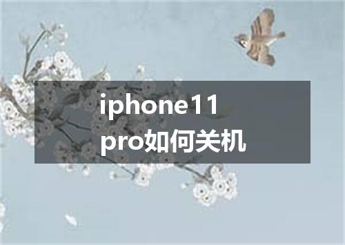 iphone11pro如何关机