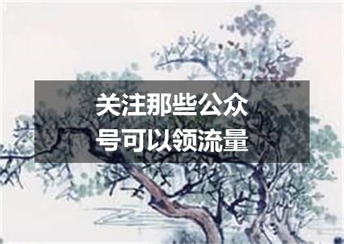 关注那些公众号可以领流量