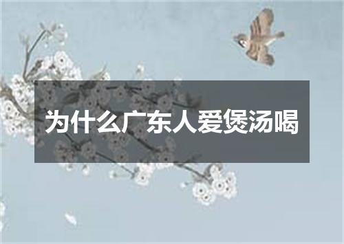 为什么广东人爱煲汤喝