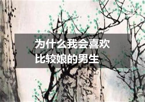 为什么我会喜欢比较娘的男生