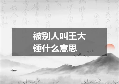 被别人叫王大锤什么意思
