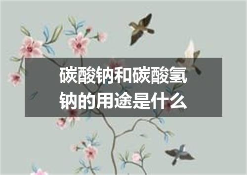 碳酸钠和碳酸氢钠的用途是什么