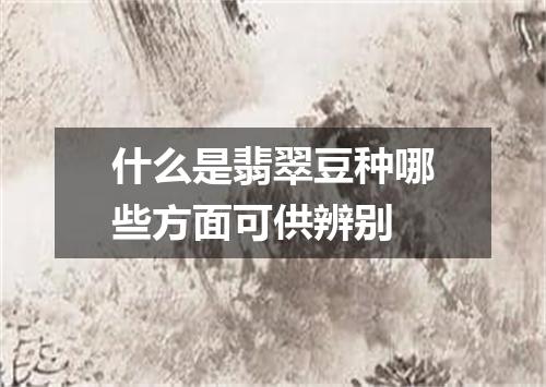 什么是翡翠豆种哪些方面可供辨别