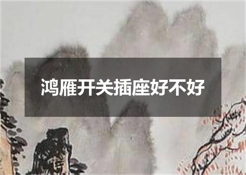 鸿雁开关插座好不好