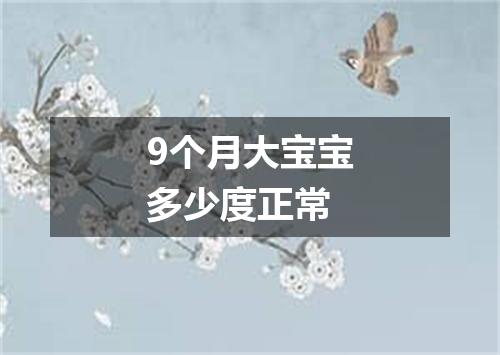 9个月大宝宝多少度正常