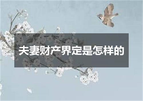 夫妻财产界定是怎样的