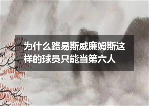 为什么路易斯威廉姆斯这样的球员只能当第六人