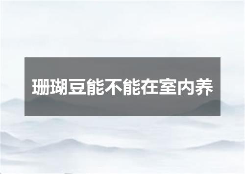 珊瑚豆能不能在室内养
