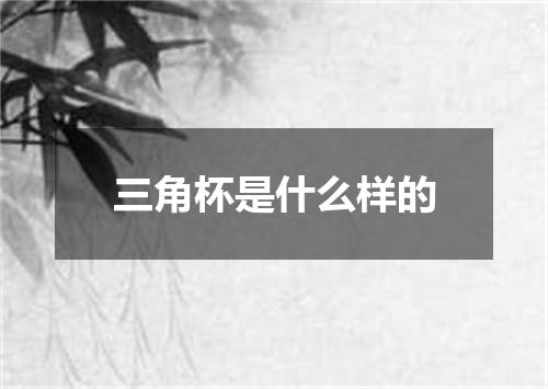 三角杯是什么样的