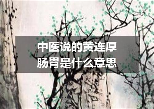 中医说的黄连厚肠胃是什么意思