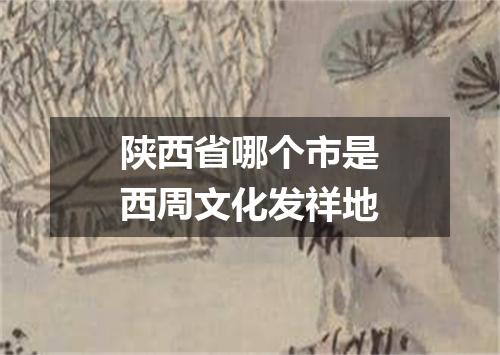 陕西省哪个市是西周文化发祥地