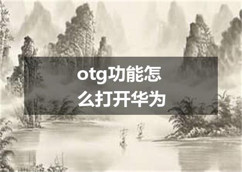 otg功能怎么打开华为