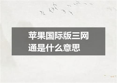 苹果国际版三网通是什么意思