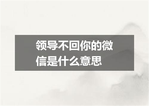 领导不回你的微信是什么意思