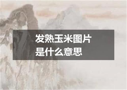 发熟玉米图片是什么意思