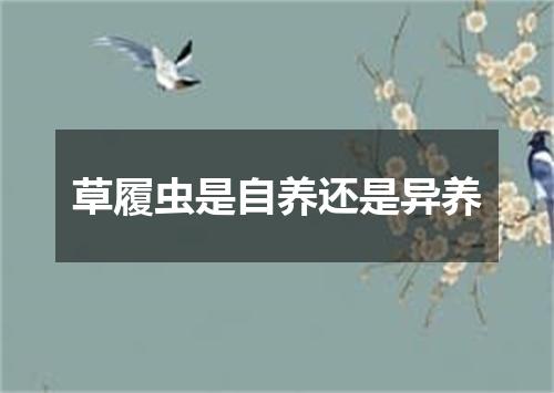 草履虫是自养还是异养