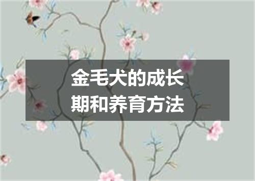 金毛犬的成长期和养育方法