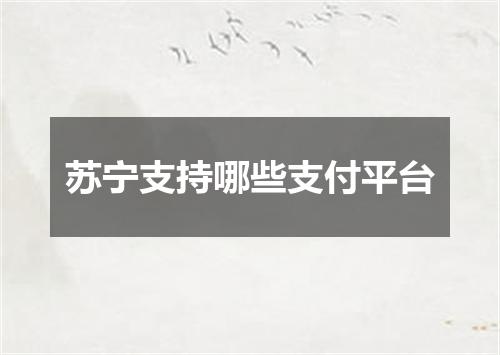 苏宁支持哪些支付平台