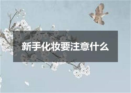 新手化妆要注意什么