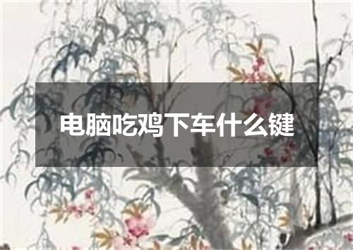 电脑吃鸡下车什么键