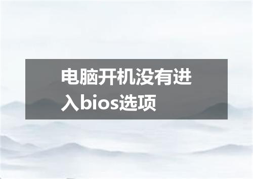 电脑开机没有进入bios选项