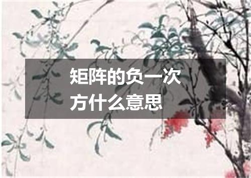 矩阵的负一次方什么意思