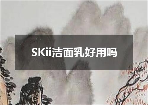 SKii洁面乳好用吗