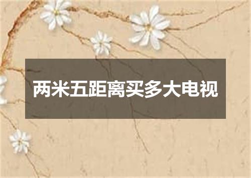 两米五距离买多大电视