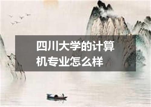 四川大学的计算机专业怎么样