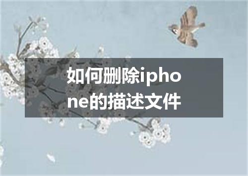 如何删除iphone的描述文件