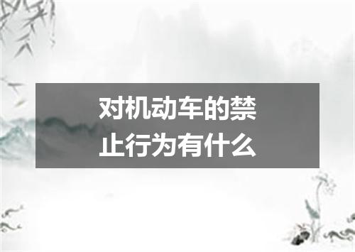对机动车的禁止行为有什么