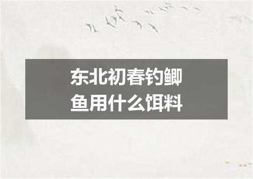 东北初春钓鲫鱼用什么饵料