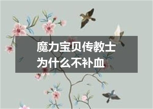 魔力宝贝传教士为什么不补血