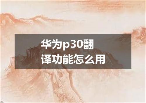 华为p30翻译功能怎么用