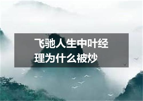 飞驰人生中叶经理为什么被炒