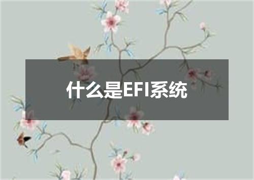 什么是EFI系统