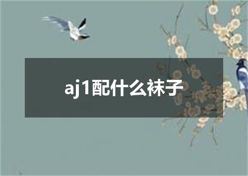 aj1配什么袜子