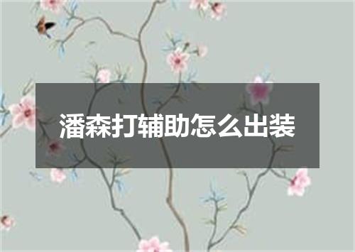 潘森打辅助怎么出装