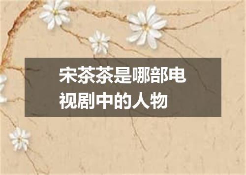 宋茶茶是哪部电视剧中的人物