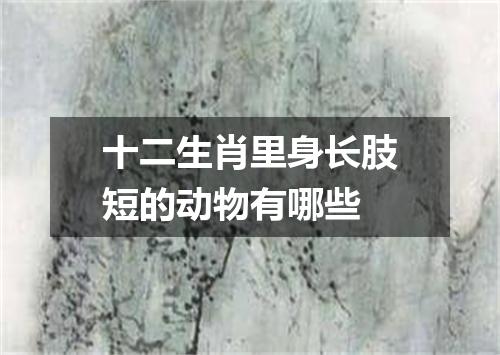 十二生肖里身长肢短的动物有哪些