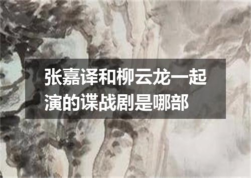 张嘉译和柳云龙一起演的谍战剧是哪部