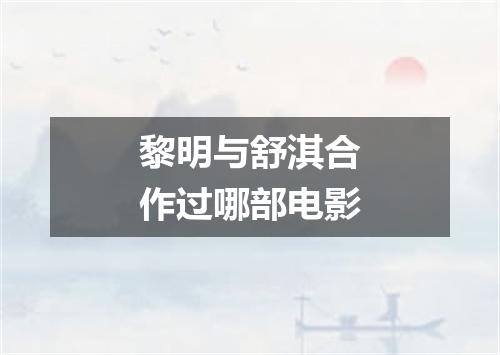 黎明与舒淇合作过哪部电影